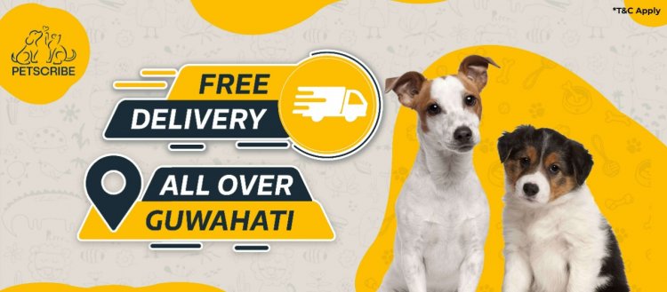 Let’s know about a unique organisation: PetScribe.