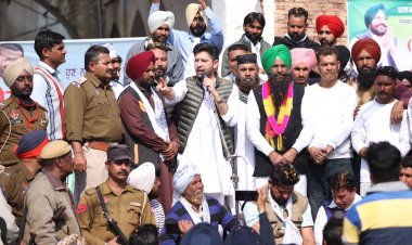 People should teach a lesson to those who looted Punjab: Raghav Chadha