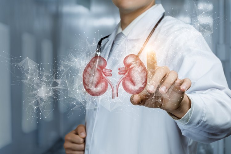 "Experience a Renewed Life with Our Patented Technology for Diabetic Kidney Disease Management"