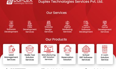 Duplex Technologies: An emerging and fast-growing name in the software industry.