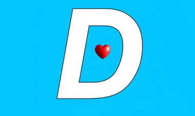 The Dreamwellfund Capital Guide to Insurance: Protecting Your Approach and Accord of Mind