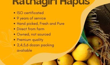 Soham Global: Revolutionizing Family Health with Quality Food