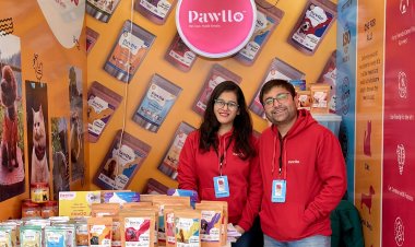 PET-FIRST, ALWAYS: THE INSPIRING JOURNEY OF PAWLLO’S FOUNDERS AND THEIR MISSION FOR FURRY WELLBEING”
