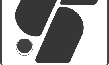 Festovee: Empowering B2B Businesses with Direct Sourcing, Bulk Orders & International Reach