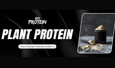How Plant Protein Supports Weight Loss and Muscle Gain?