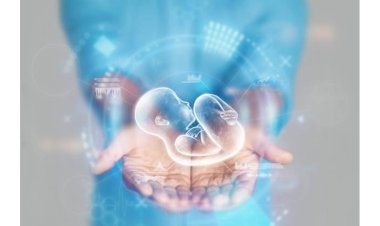 IVF Treatment in India How Much Does it Cost