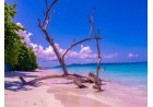 AndamanTravelCare Expands Customized Andaman Tour Packages Amid Rising Demand Across India