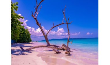 AndamanTravelCare Expands Customized Andaman Tour Packages Amid Rising Demand Across India