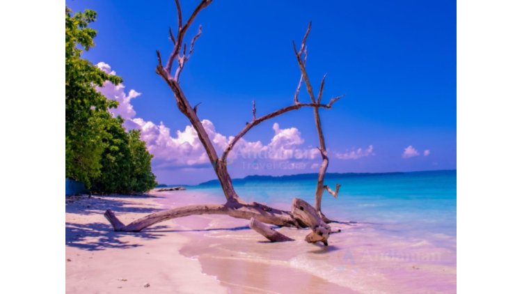 AndamanTravelCare Expands Customized Andaman Tour Packages Amid Rising Demand Across India
