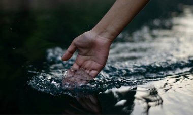 The Art of Water, Why Your Body Deserves Complete Water, Not only Clean Water
