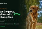 From a Small Office in Punjab to Homes Across India: The Nearby Pets India Story